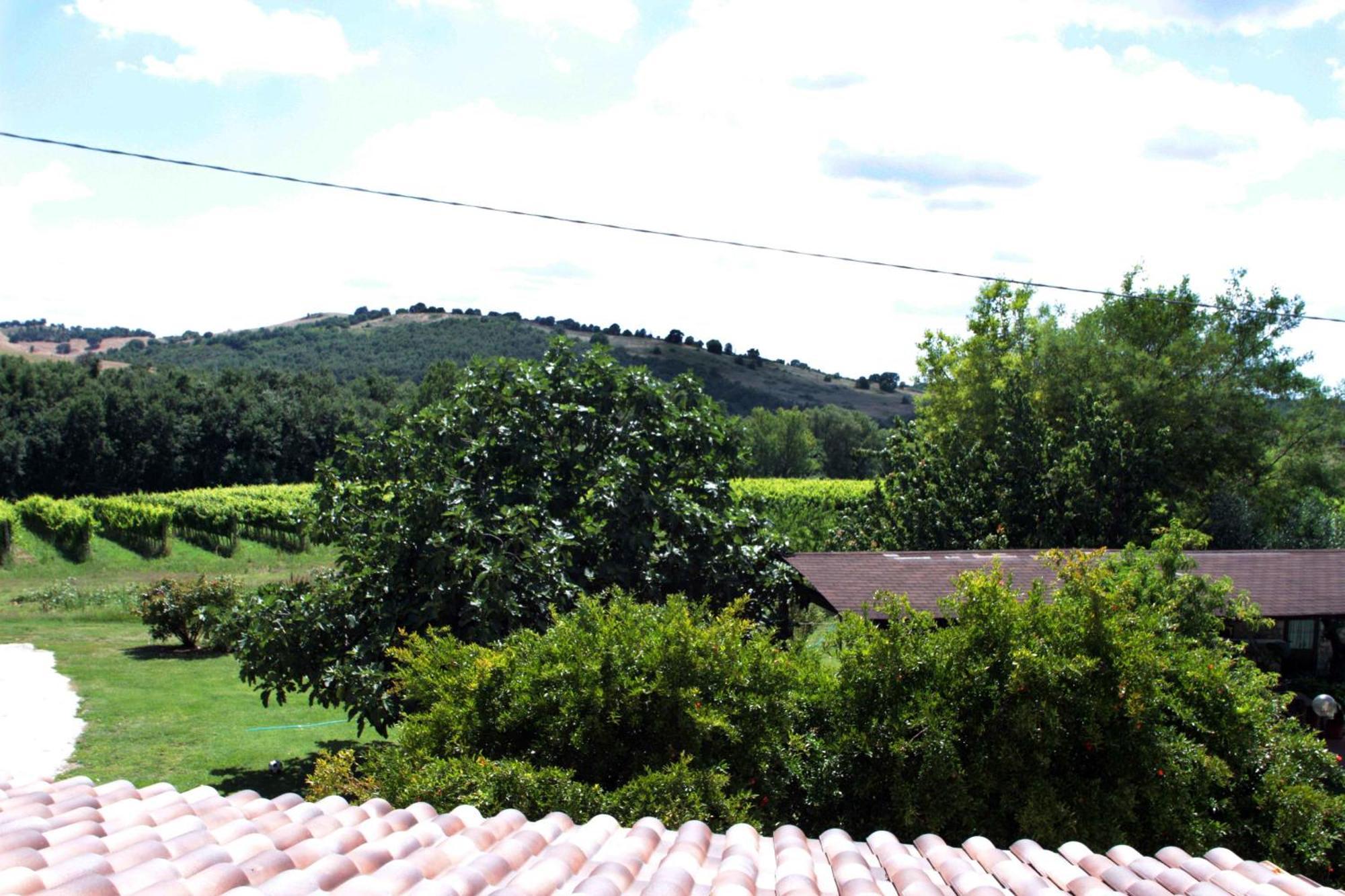 Agriturismo La Vecchia Quercia Montemerano Buitenkant foto
